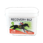 Recovery B12 2.5 lbs
