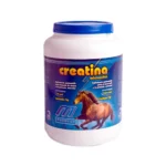 Creatina 1kg Microsules