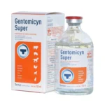 Gentomicyn Super 100ml