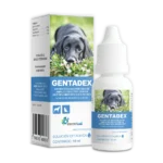 Gentadex Solución Oftálmica